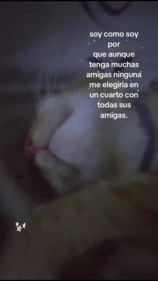 TikTok video thumbnail by miri_leeknow