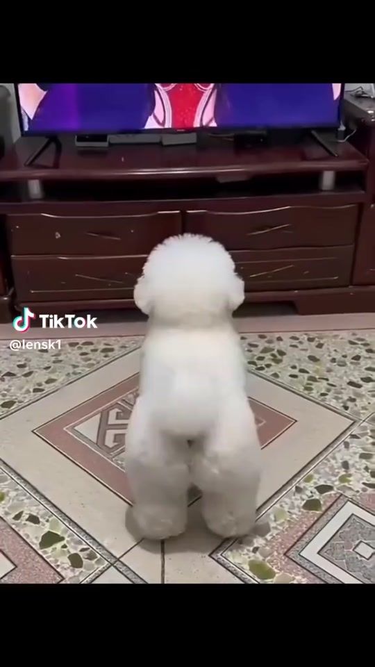 TikTok video thumbnail by user8159374531012