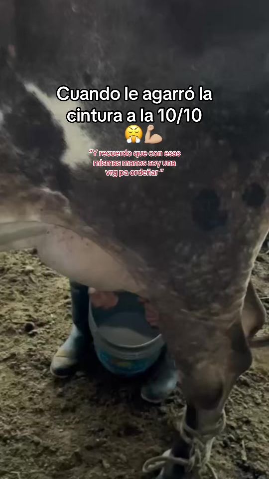 TikTok video thumbnail by yerson.morales27