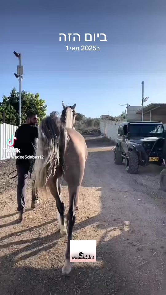 TikTok video thumbnail by wadee3dabas12