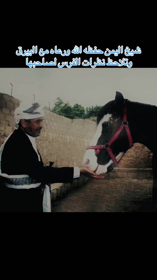 TikTok video thumbnail by horses.711