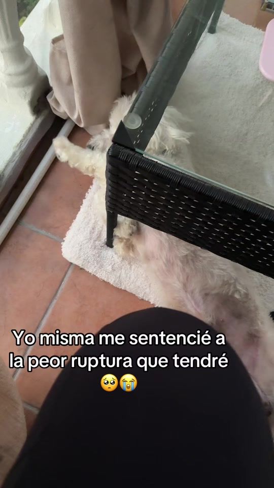 TikTok video thumbnail by user4348761463386