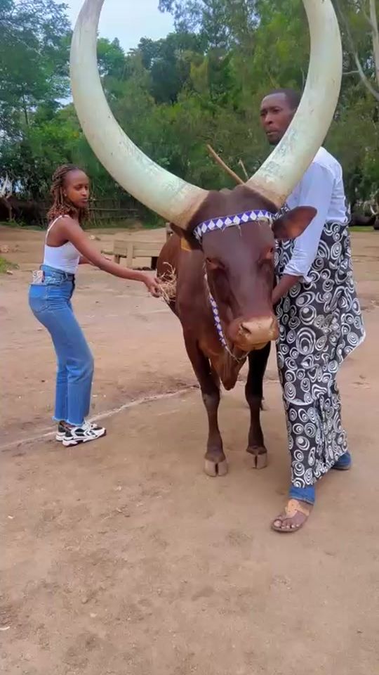 TikTok video thumbnail by rutayisire.wase