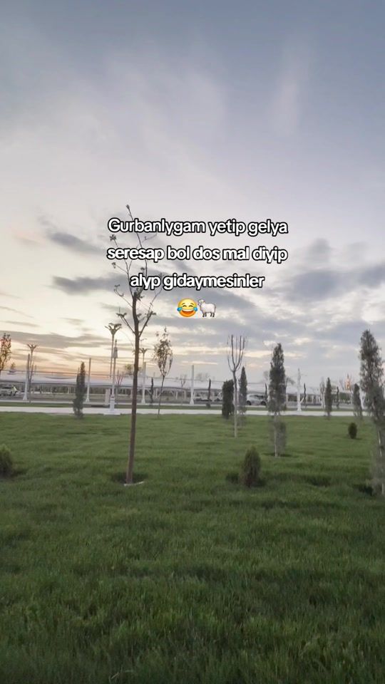 TikTok video thumbnail by tanamayan290