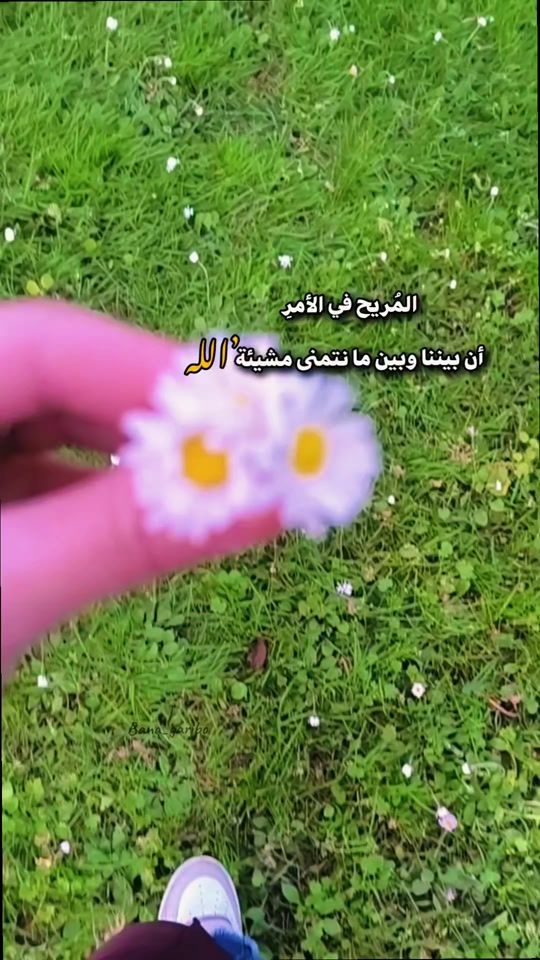 TikTok video thumbnail by bana_garibo