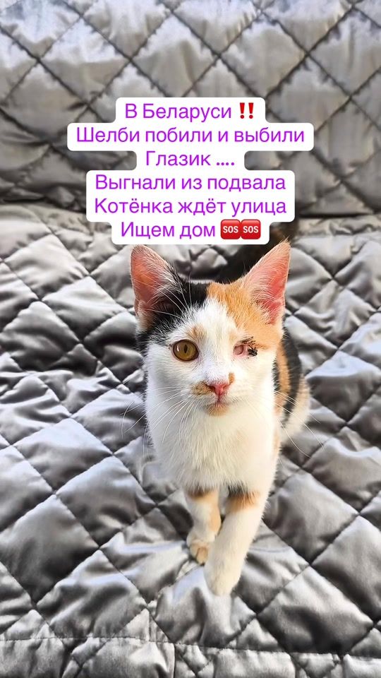 TikTok video thumbnail by maria_kovalchuk08
