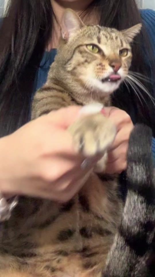 TikTok video thumbnail by ____fish_fish
