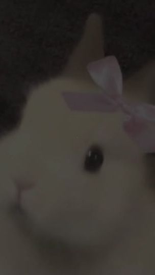 TikTok video thumbnail by user7810202123530