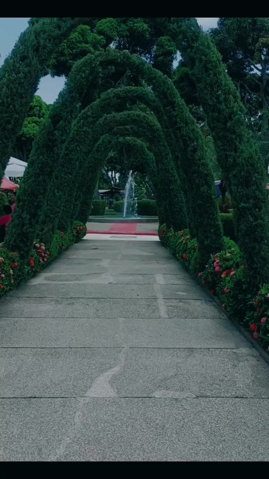 TikTok video thumbnail by bisleflores