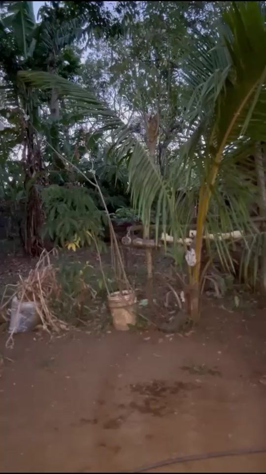 TikTok video thumbnail by llanerocantinflas