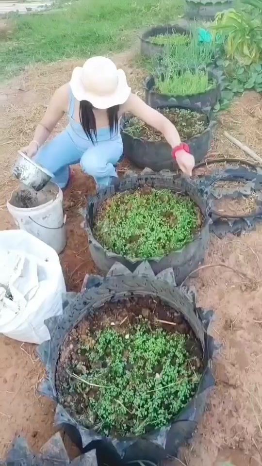 TikTok video thumbnail by modzy898989