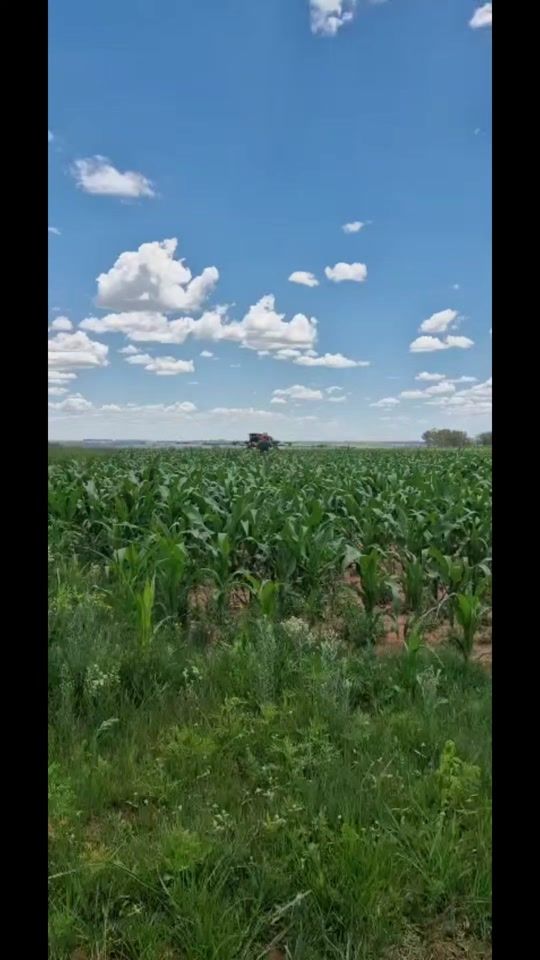 TikTok video thumbnail by boereland