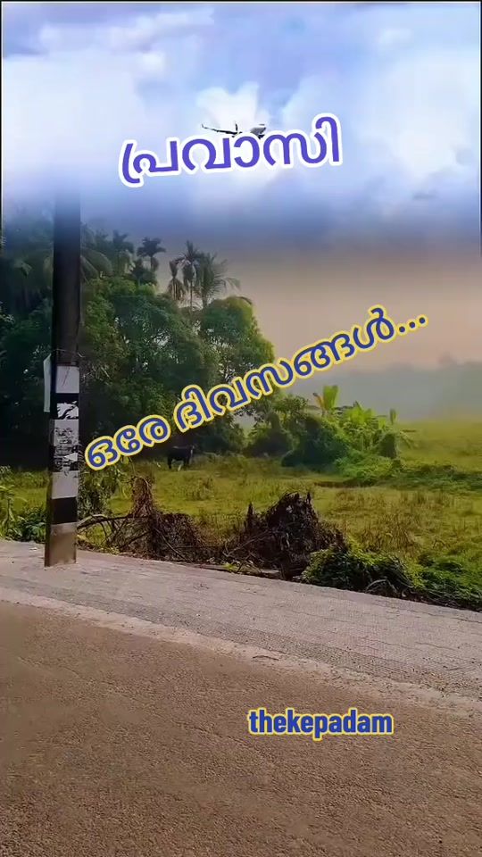 TikTok video thumbnail by thekepadam0