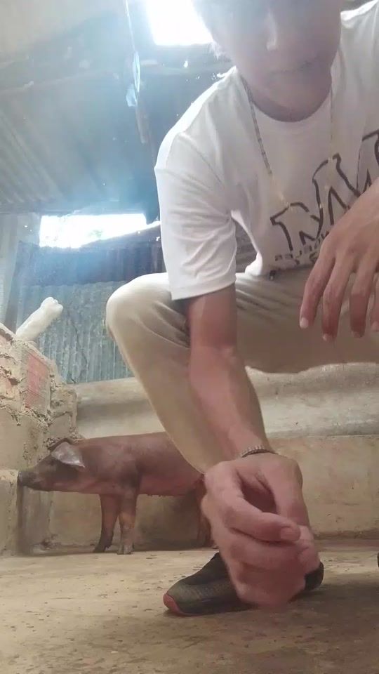 TikTok video thumbnail by hidekel234
