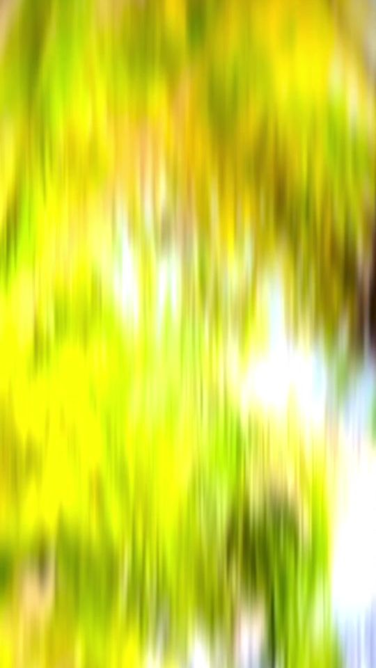 TikTok video thumbnail by loney_loozer