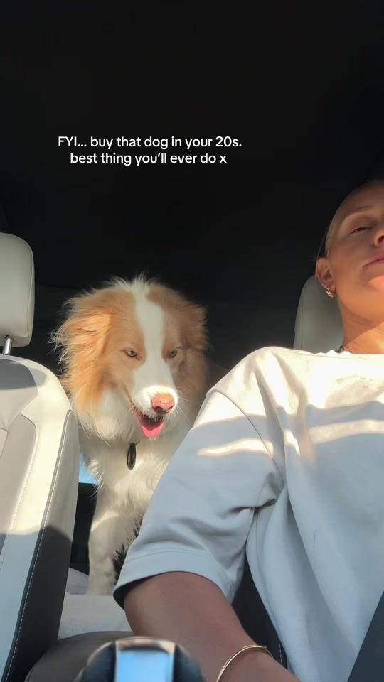 TikTok video thumbnail by bonnieraee