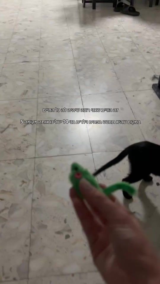 TikTok video thumbnail by annabelle_s__