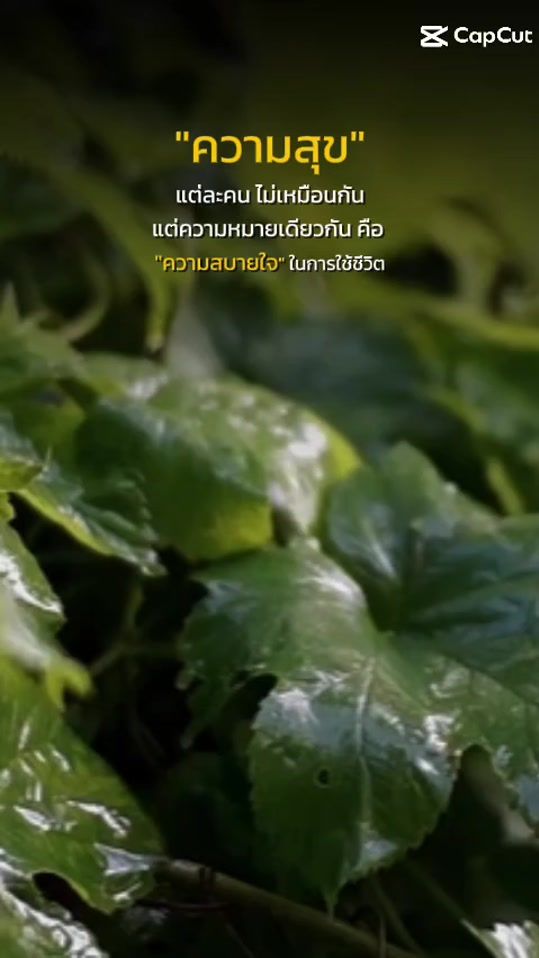 TikTok video thumbnail by story_fon_fon