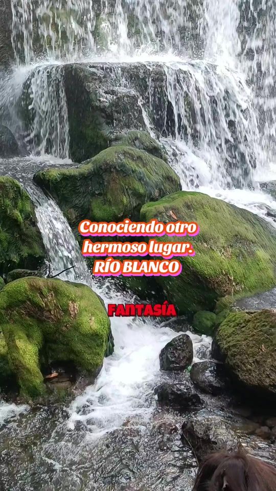 TikTok video thumbnail by fantacia502