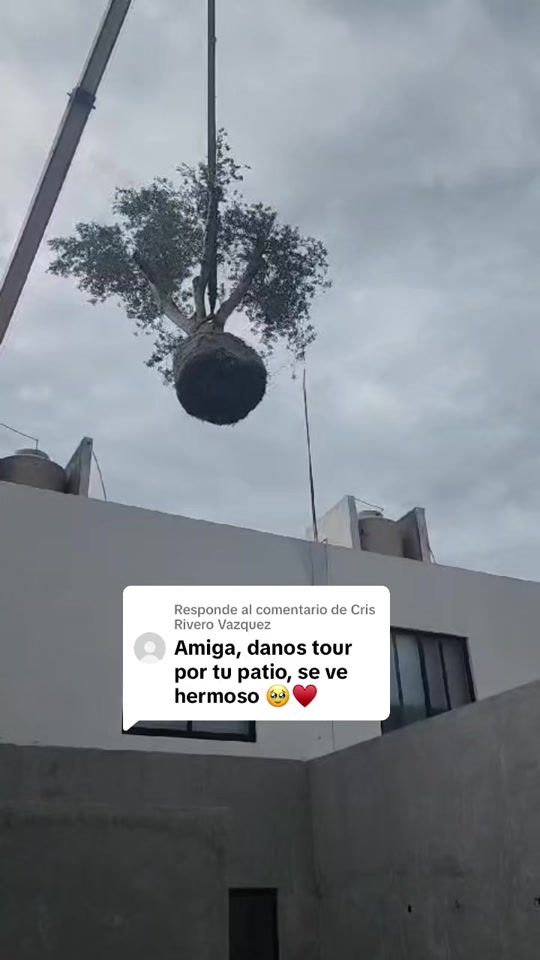 TikTok video thumbnail by flor.martinz