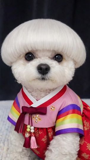 TikTok video thumbnail by user5960906544690