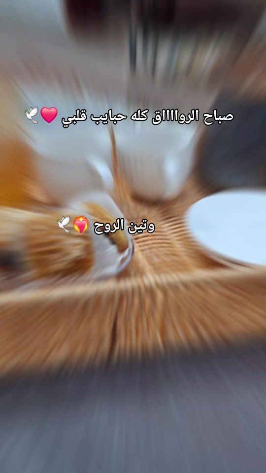 TikTok video thumbnail by hudamohammed1982