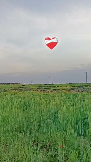 TikTok video thumbnail by nasro_no_20