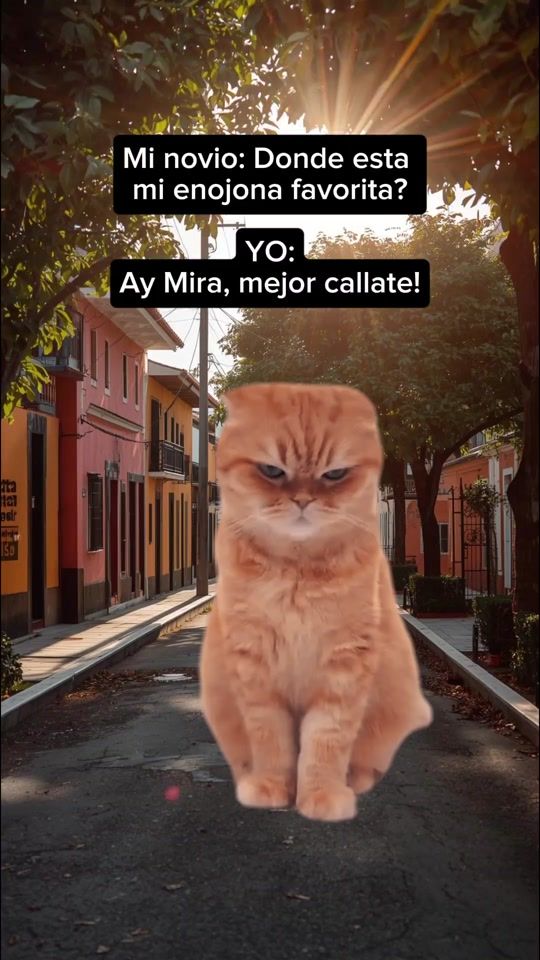 TikTok video thumbnail by tu.gato.curioso