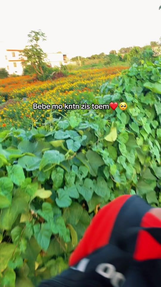 TikTok video thumbnail by just_vidya