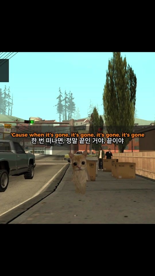 TikTok video thumbnail by catwalk911_