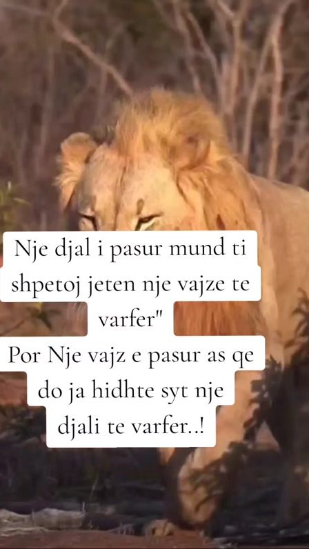 TikTok video thumbnail by thanje.per.jeten
