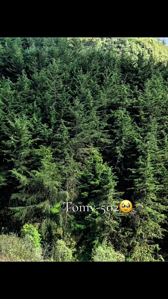 TikTok video thumbnail by tomyjuan04