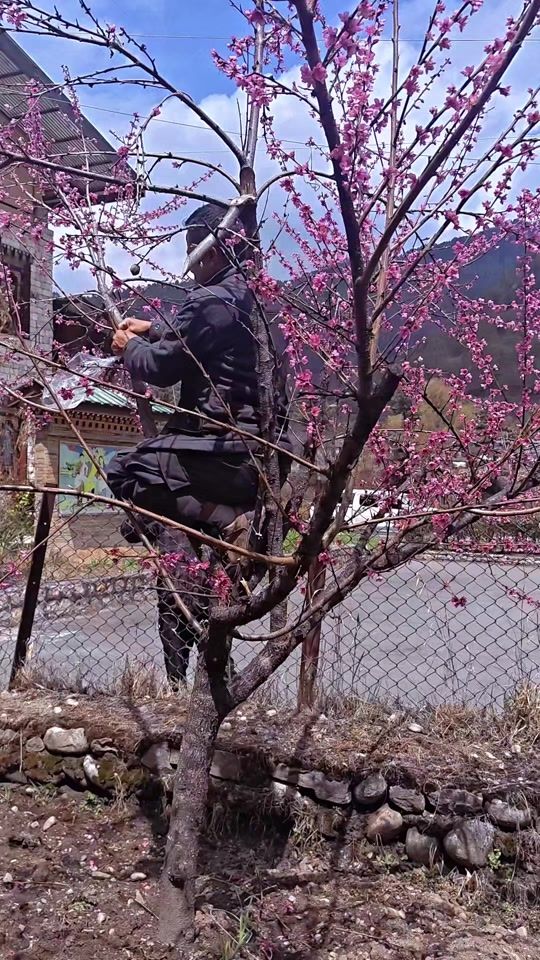 TikTok video thumbnail by tshering1133
