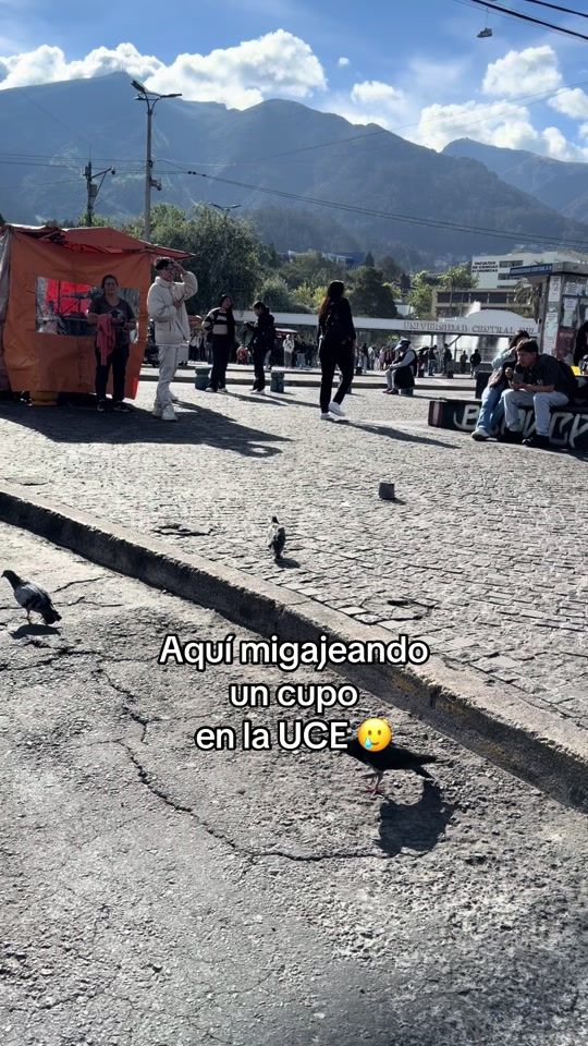 TikTok video thumbnail by profegibran