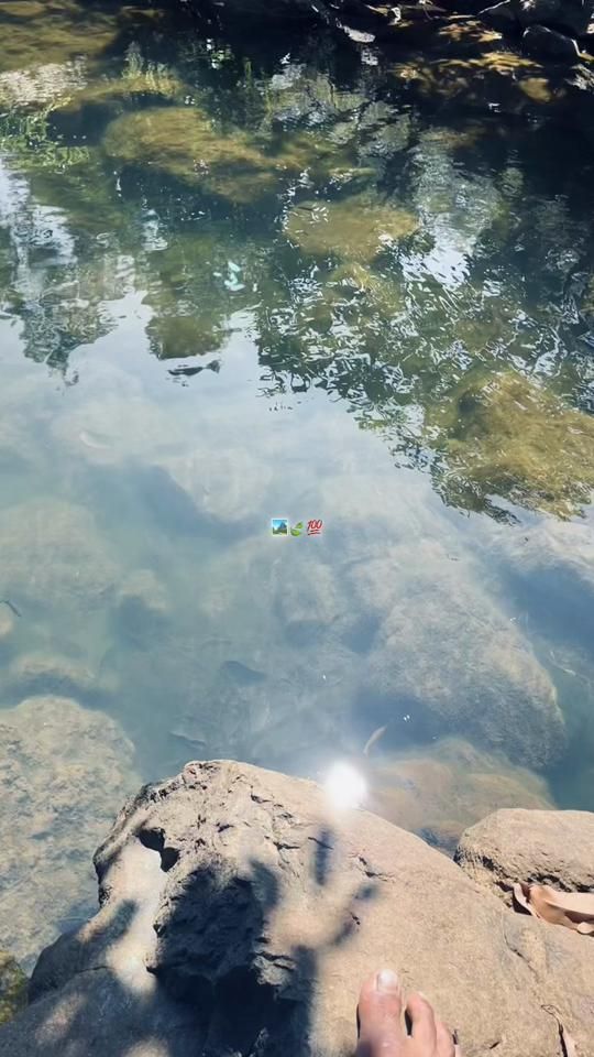 TikTok video thumbnail by nemog.positiv