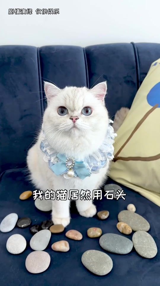 TikTok video thumbnail by blueeyescandy