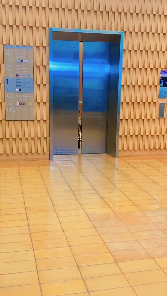 TikTok video thumbnail by dog_runway