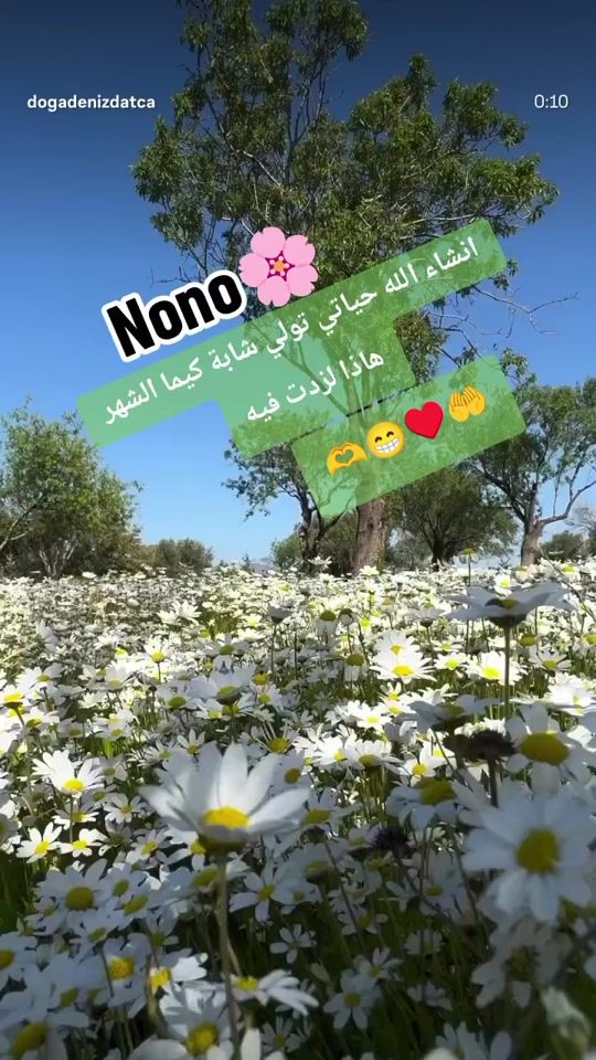 TikTok video thumbnail by nono58436