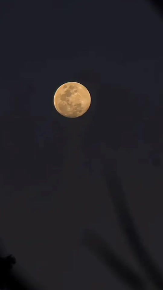 TikTok video thumbnail by de_leon_2025