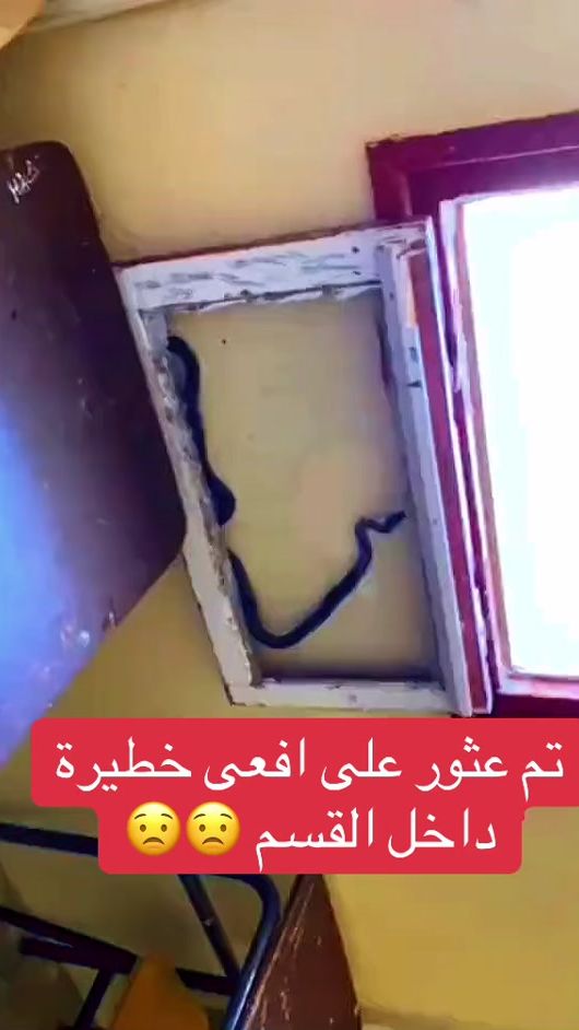 TikTok video thumbnail by adam_dz.02