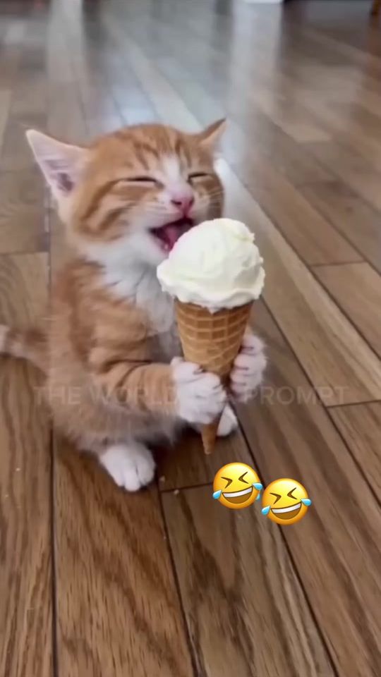TikTok video thumbnail by dontheking43