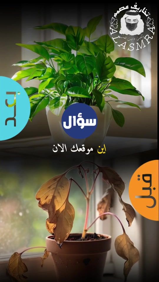 TikTok video thumbnail by takharifmusamim