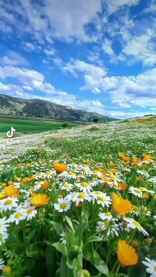 TikTok video thumbnail by ines.boulaabi4