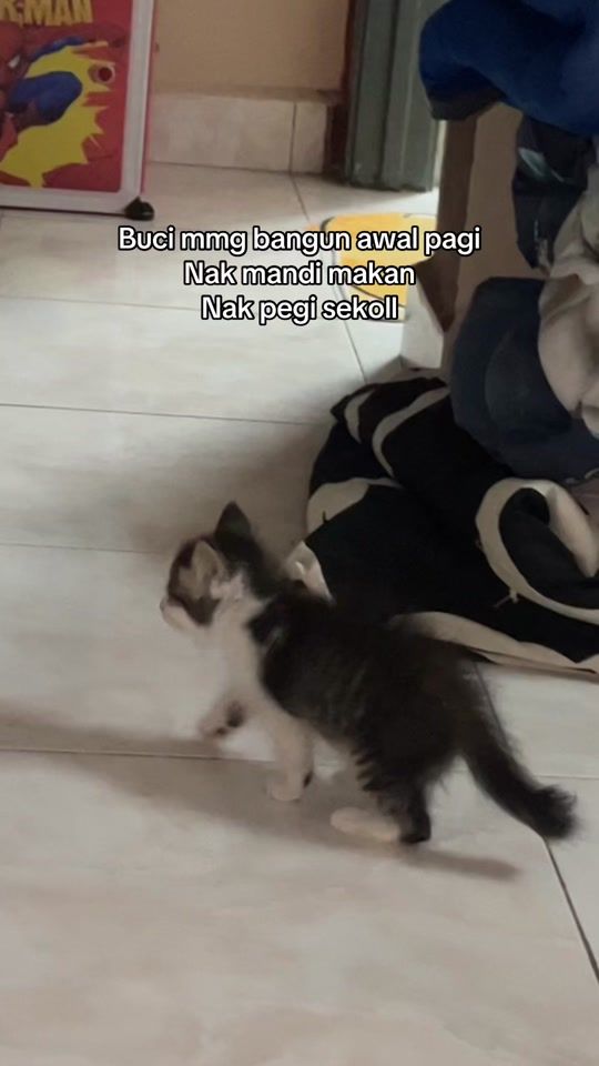 TikTok video thumbnail by buci_buu