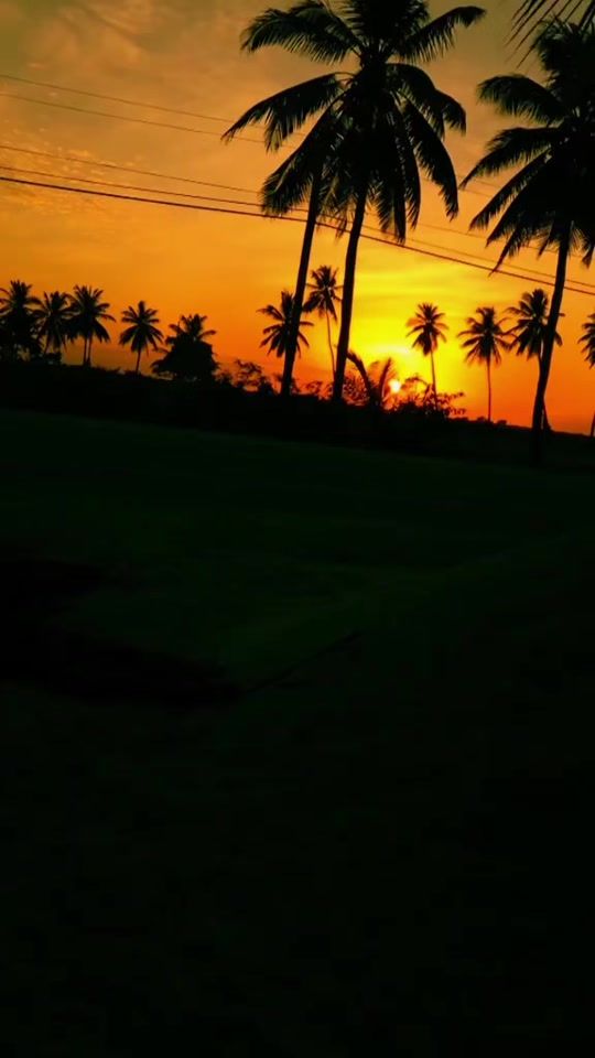 TikTok video thumbnail by naturepets32