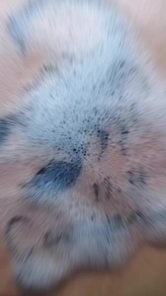 TikTok video thumbnail by shivanimoodley11