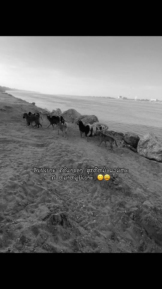 TikTok video thumbnail by uer.12k