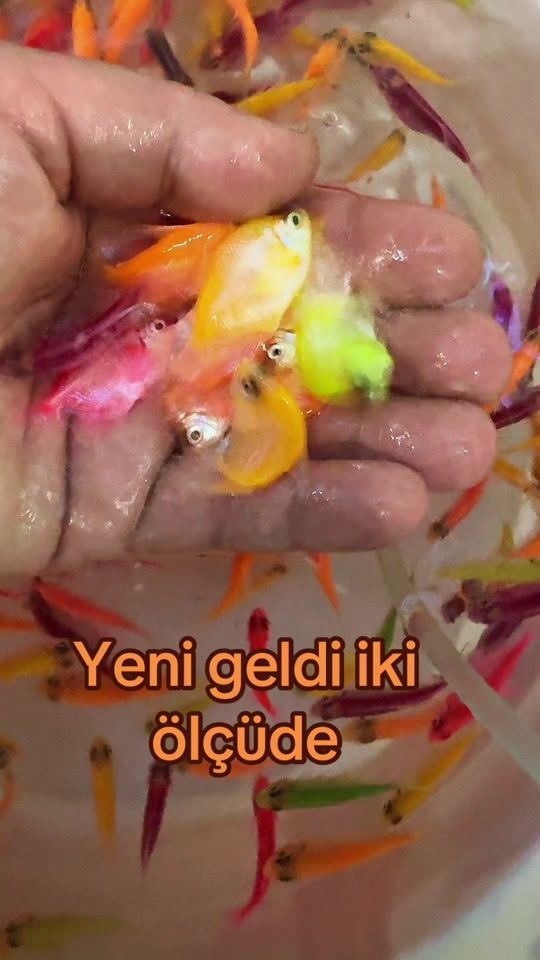 TikTok video thumbnail by aquanemo3
