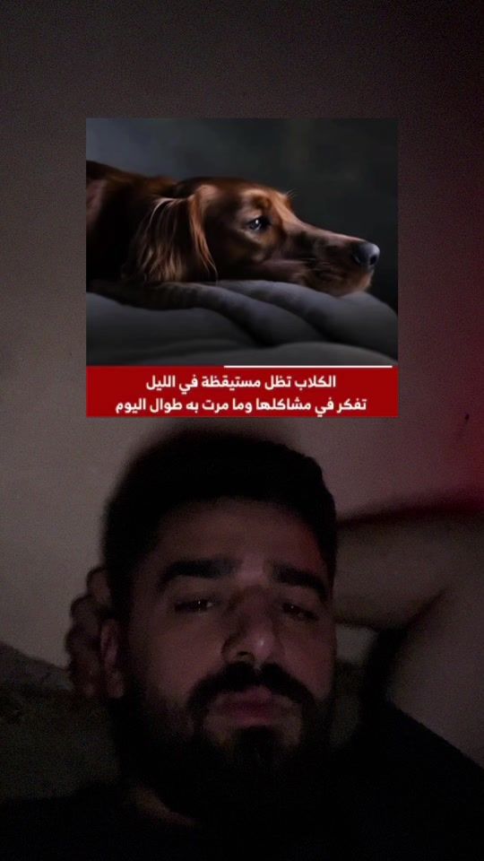 TikTok video thumbnail by iebow