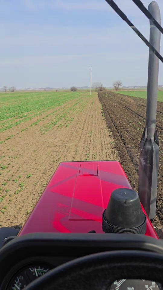 TikTok video thumbnail by norbi6280